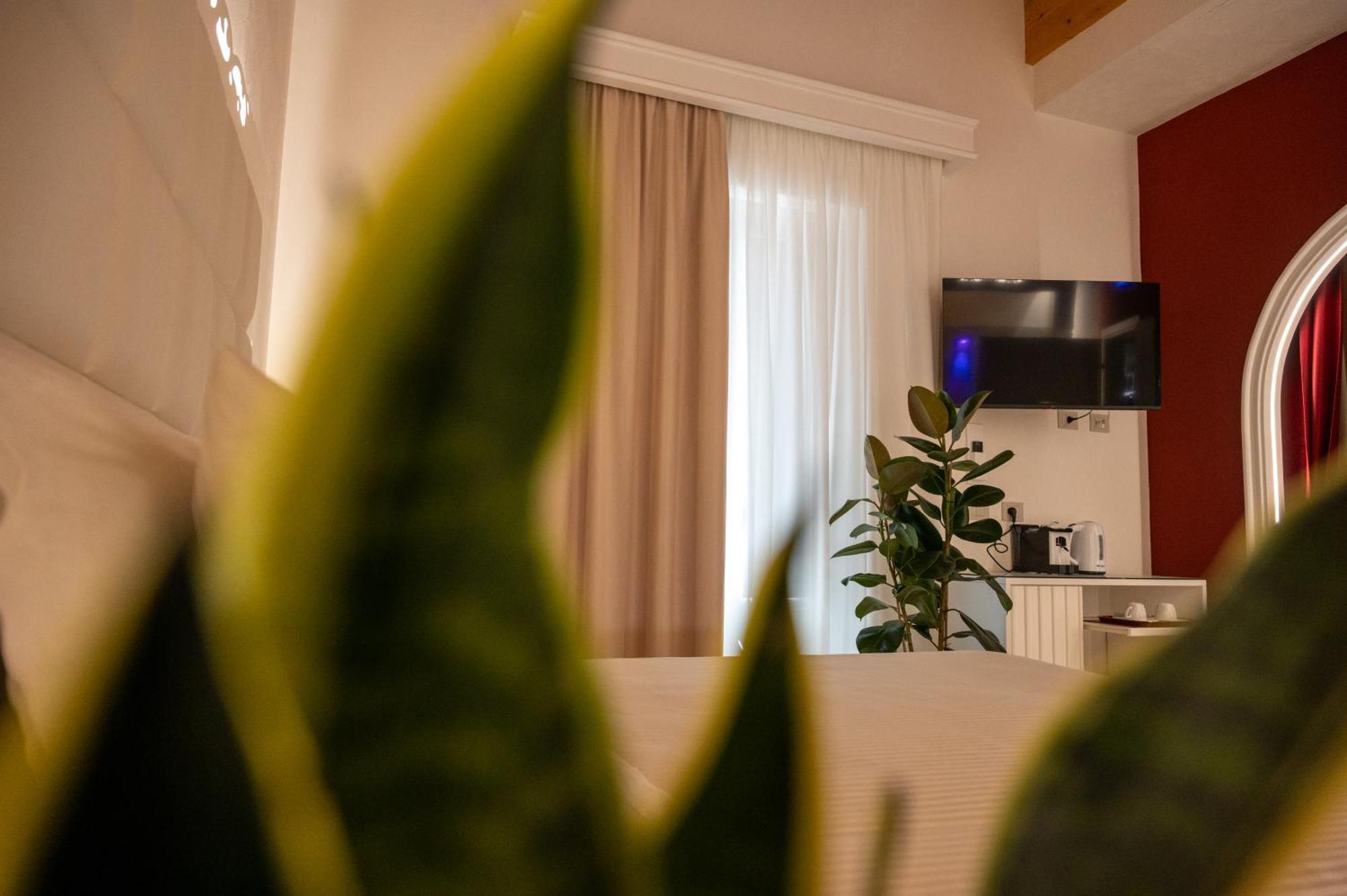Bed and Breakfast La Divina - Free Parking - Тропеа Екстер'єр фото